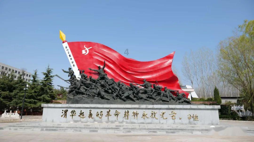 森林的奇迹