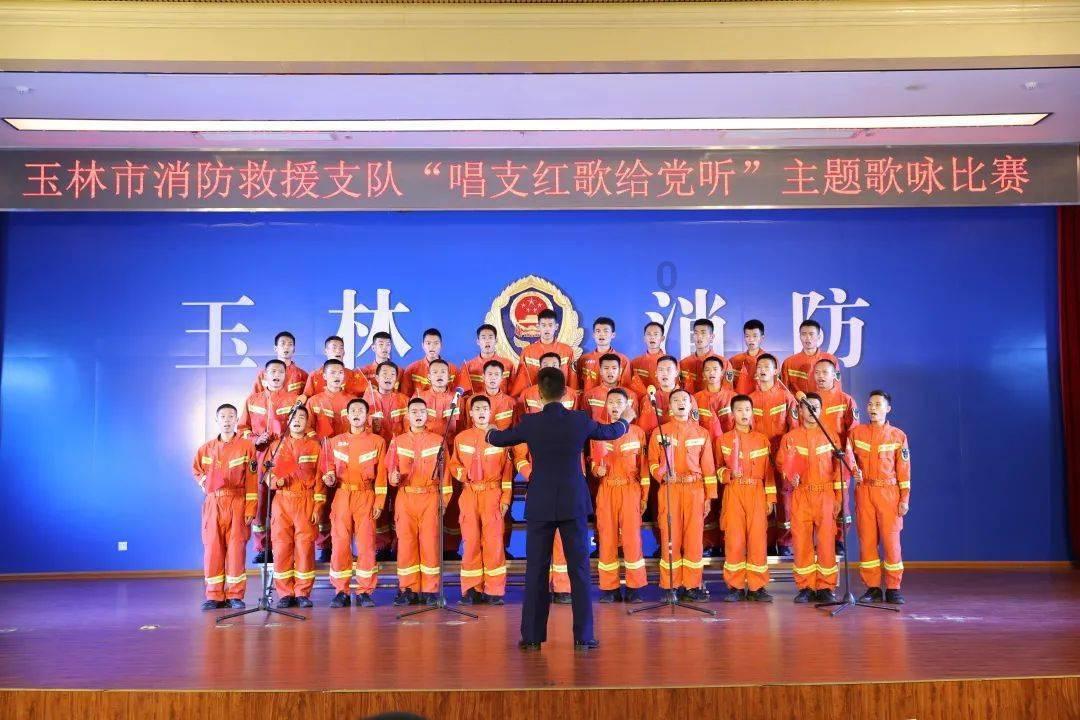 可爱猫咪救援