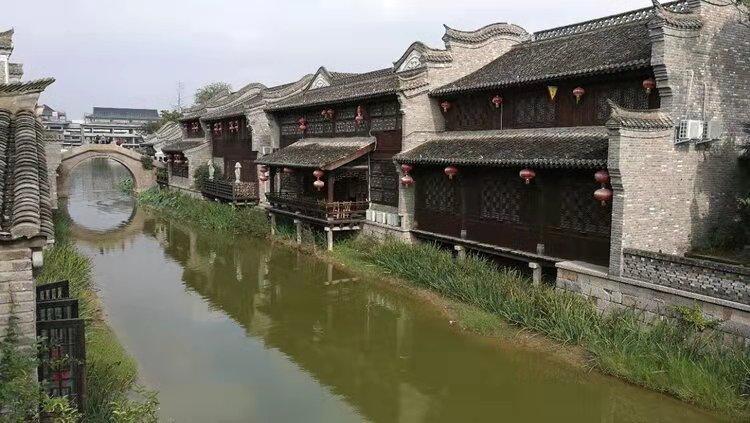 拯救机灵鸟